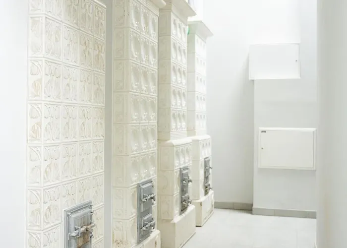 Native Starowislna 43/15