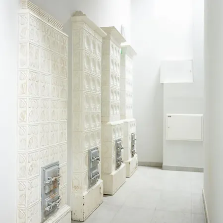 Native Starowislna 43/15