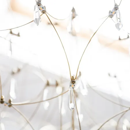 Native Starowislna 43/15 Krakow